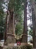 室生龍穴神社(奈良県)