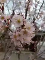 賀羅加波神社(広島県)