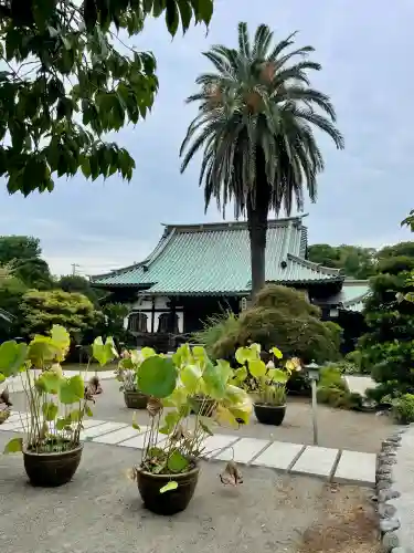 本瑞寺(神奈川県)