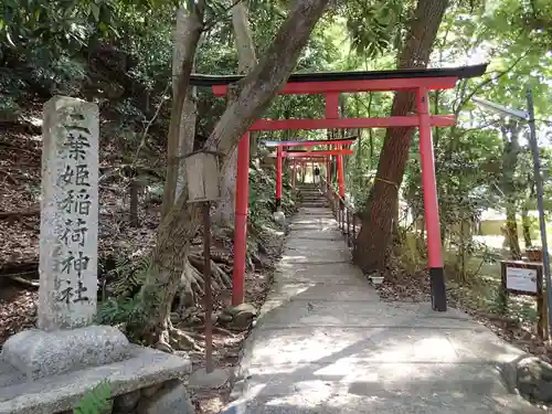 二葉姫稲荷神社の鳥居