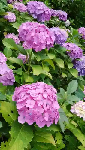 天台宗　長窪山　正覚寺の自然