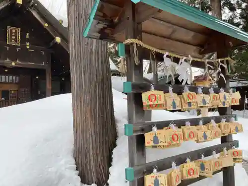 琴似神社の絵馬