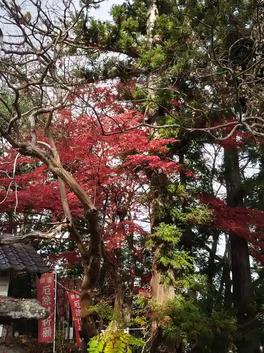 岡部春日神社~👹鬼門よけの🌺花咲く🌺やしろ~(福島県)