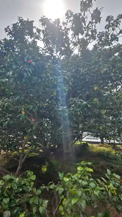 総見院(京都府)