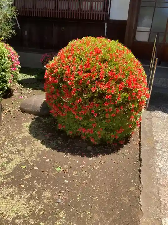 森巌寺(東京都)