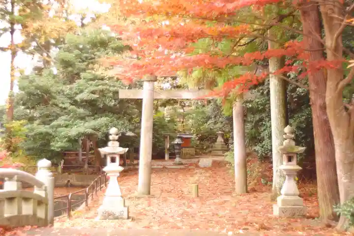 天津神社(新潟県)
