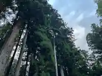 大宮温泉神社(栃木県)