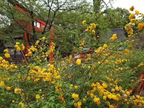 賀茂御祖神社（下鴨神社）の自然