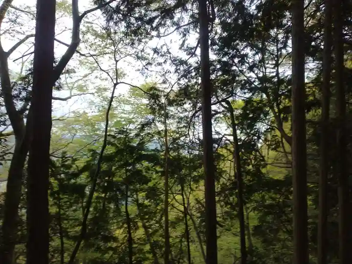 冨士浅間神社(東京都)