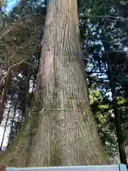 嶽山箒根神社奥の院(栃木県)