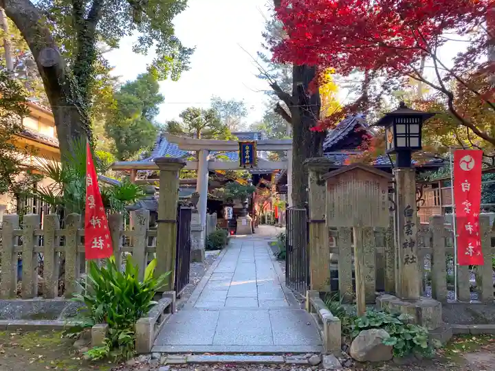 白雲神社(京都府)