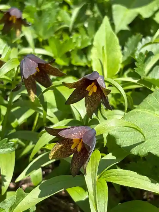 白山比咩神社 奥宮(石川県)