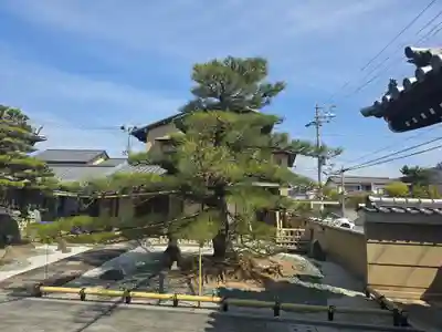 円明寺(和歌山県)