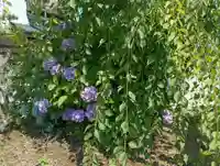 水天宮(茨城県)