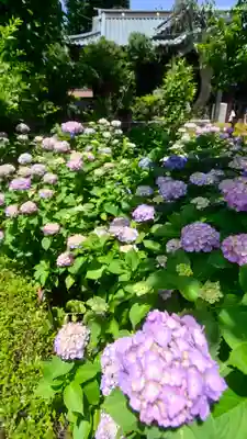 白山神社(東京都)