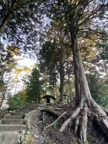 大塚丘(山梨県)