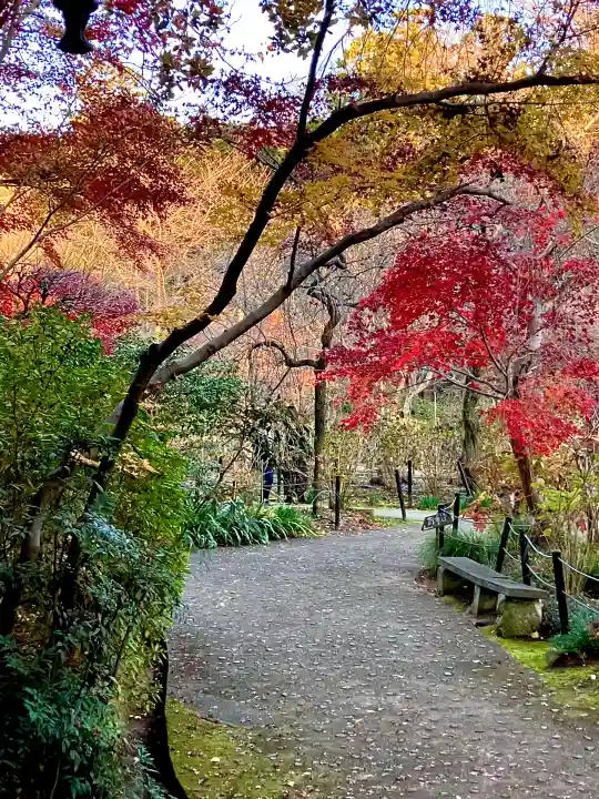 本土寺(千葉県)