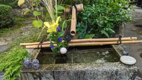 宝蔵寺(京都府)