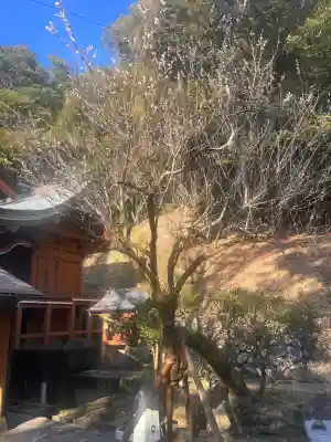今泉神社の{uncategorized: "未分類", other: "その他", undefined: "問題あり", building: "その他建物", grave: "お墓", sacred_gate: "鳥居", guardian: "狛犬", statue: "像", buddha: "仏像", history: "歴史", nature: "自然", garden: "庭園", animal: "動物", pagoda: "塔", temizu: "手水舎", mountain_gate: "山門・神門", sanctuary: "本殿・本堂", subordinate: "末社・摂社", art: "芸術", scenery: "景色", jizo: "地蔵", ema: "絵馬", goshuin: "御朱印", omikuji: "おみくじ", items: "授与品その他", amulet: "お守り", goshuincho: "御朱印帳", eats: "食事", festival: "お祭り", votive_dance: "神楽", shichigosan: "七五三参", wedding: "結婚式", experience: "体験その他", initially: "初詣", around: "周辺", anti_infection: "感染症対策"}