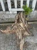 楠木神社(大阪府)