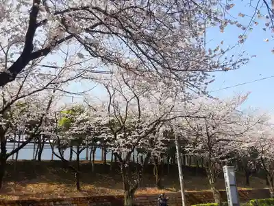 妙櫻寺(東京都)