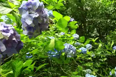 杉本寺(神奈川県)