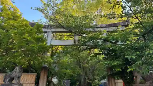 安井金比羅宮の{uncategorized: "未分類", other: "その他", undefined: "問題あり", building: "その他建物", grave: "お墓", sacred_gate: "鳥居", guardian: "狛犬", statue: "像", buddha: "仏像", history: "歴史", nature: "自然", garden: "庭園", animal: "動物", pagoda: "塔", temizu: "手水舎", mountain_gate: "山門・神門", sanctuary: "本殿・本堂", subordinate: "末社・摂社", art: "芸術", scenery: "景色", jizo: "地蔵", ema: "絵馬", goshuin: "御朱印", omikuji: "おみくじ", items: "授与品その他", amulet: "お守り", goshuincho: "御朱印帳", eats: "食事", festival: "お祭り", votive_dance: "神楽", shichigosan: "七五三参", wedding: "結婚式", experience: "体験その他", initially: "初詣", around: "周辺", anti_infection: "感染症対策"}