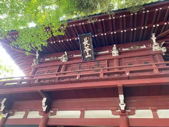 本土寺(千葉県)