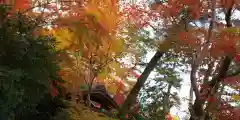 鍬山神社の自然