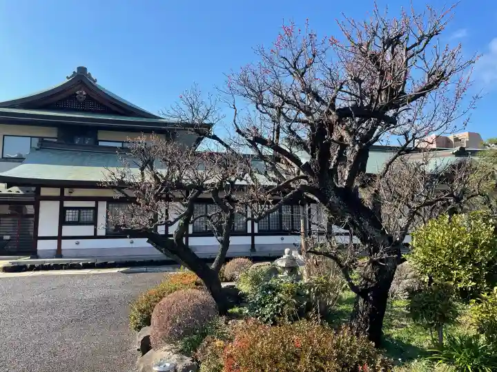 瑞円寺の{uncategorized: "未分類", other: "その他", undefined: "問題あり", building: "その他建物", grave: "お墓", sacred_gate: "鳥居", guardian: "狛犬", statue: "像", buddha: "仏像", history: "歴史", nature: "自然", garden: "庭園", animal: "動物", pagoda: "塔", temizu: "手水舎", mountain_gate: "山門・神門", sanctuary: "本殿・本堂", subordinate: "末社・摂社", art: "芸術", scenery: "景色", jizo: "地蔵", ema: "絵馬", goshuin: "御朱印", omikuji: "おみくじ", items: "授与品その他", amulet: "お守り", goshuincho: "御朱印帳", eats: "食事", festival: "お祭り", votive_dance: "神楽", shichigosan: "七五三参", wedding: "結婚式", experience: "体験その他", initially: "初詣", around: "周辺", anti_infection: "感染症対策"}