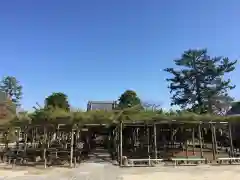 善養寺の庭園