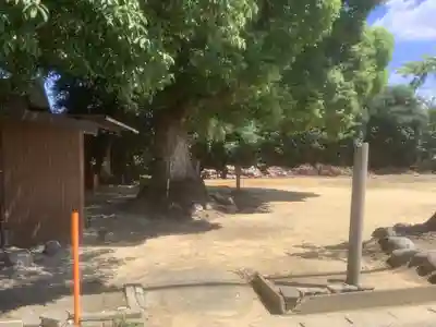 桃山八幡社の自然