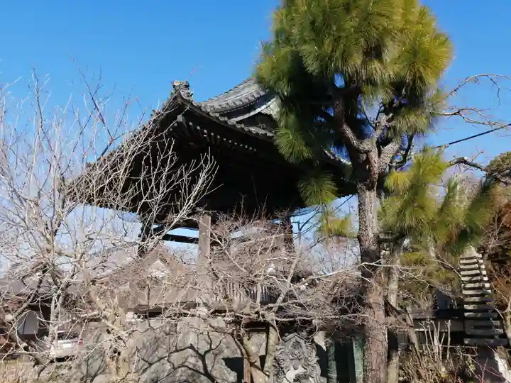 海蔵寺のその他建物