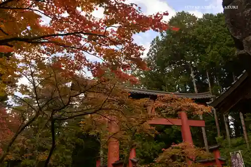 北口本宮冨士浅間神社の鳥居