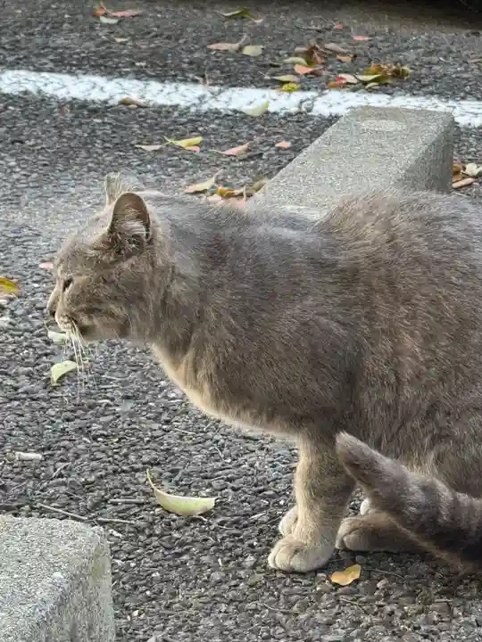 若宮八幡社(愛知県)