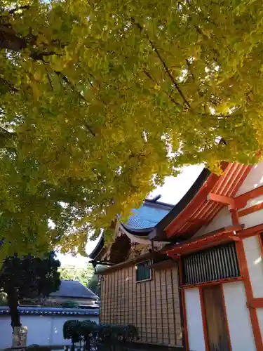 姪浜住吉神社(福岡県)