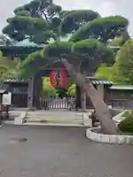 長谷寺の山門・神門