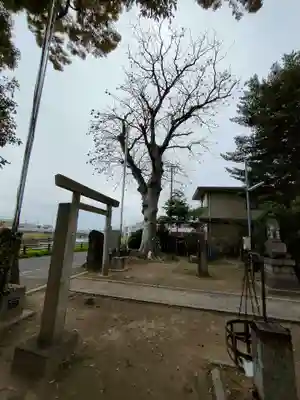 川上神社の鳥居