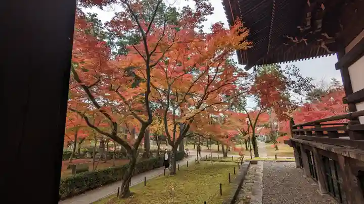 真正極楽寺(真如堂)(京都府)