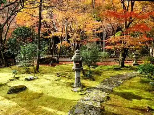 高山寺(京都府)