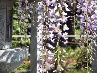 三大神社のその他建物