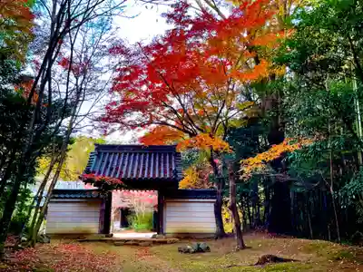 円光寺(三重県)