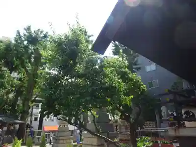 高円寺氷川神社のその他建物