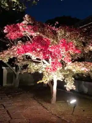 東漸寺(千葉県)