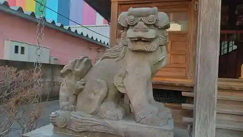 西新井氷川神社の狛犬