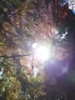 乃木神社(栃木県)