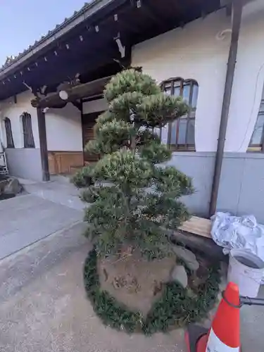 本通寺(東京都)