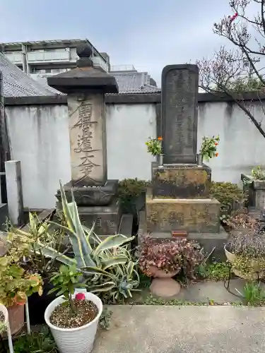 本通寺の{uncategorized: "未分類", other: "その他", undefined: "問題あり", building: "その他建物", grave: "お墓", sacred_gate: "鳥居", guardian: "狛犬", statue: "像", buddha: "仏像", history: "歴史", nature: "自然", garden: "庭園", animal: "動物", pagoda: "塔", temizu: "手水舎", mountain_gate: "山門・神門", sanctuary: "本殿・本堂", subordinate: "末社・摂社", art: "芸術", scenery: "景色", jizo: "地蔵", ema: "絵馬", goshuin: "御朱印", omikuji: "おみくじ", items: "授与品その他", amulet: "お守り", goshuincho: "御朱印帳", eats: "食事", festival: "お祭り", votive_dance: "神楽", shichigosan: "七五三参", wedding: "結婚式", experience: "体験その他", initially: "初詣", around: "周辺", anti_infection: "感染症対策"}