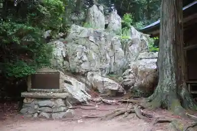 鹿島大神宮の自然