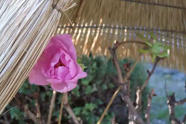 石光寺(奈良県)